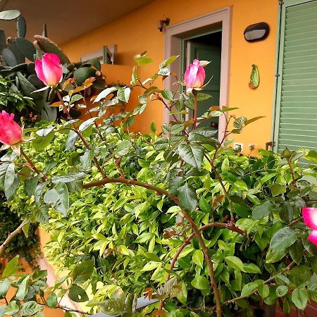 Bed and Breakfast Casa Marta Massa  Esterno foto